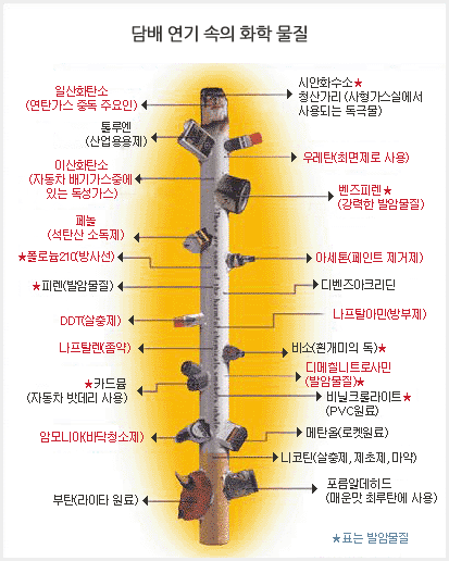 담배 연기 속의 화학 물질입니다. 내용은 아래와 같습니다.