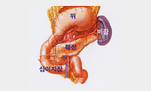 췌장과 장기 주변