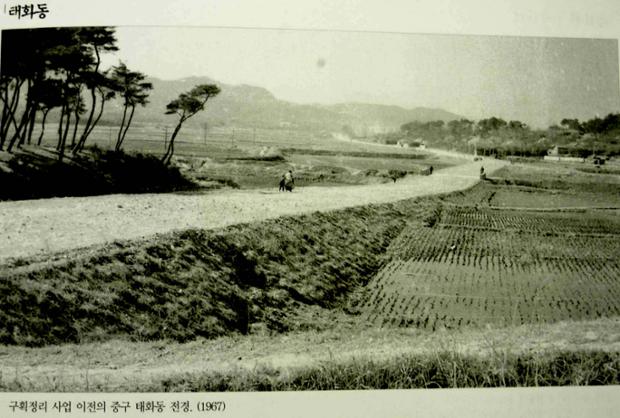 구획정리이전의 태화동전경(1967)