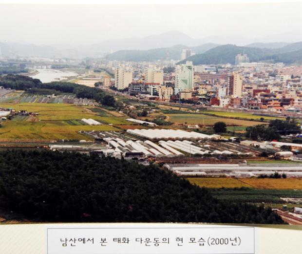 남산에서본 태화 다운동 현모습(2000)