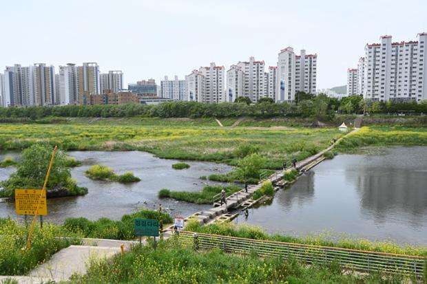 태화강 중류 척과천 주변 전경