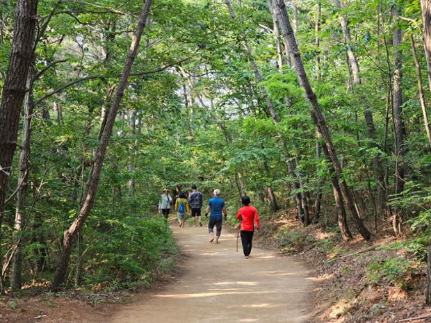 황방산 맨발 등산로