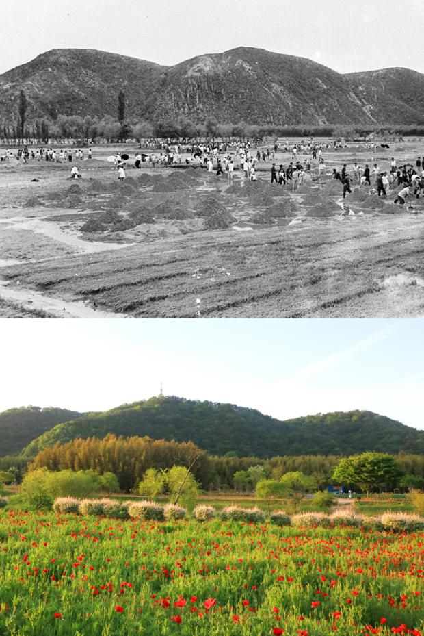 태화강국가정원 주변시가지 어제와 오늘