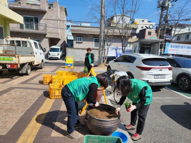 반구1동 새마을문고회 초호하 식재