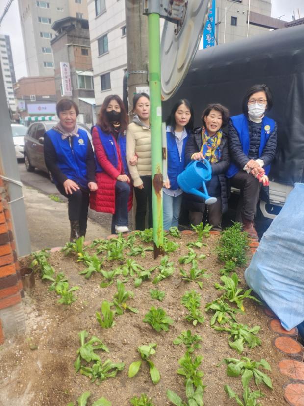 반구1동 바르게살기위원회 봄초화 식재