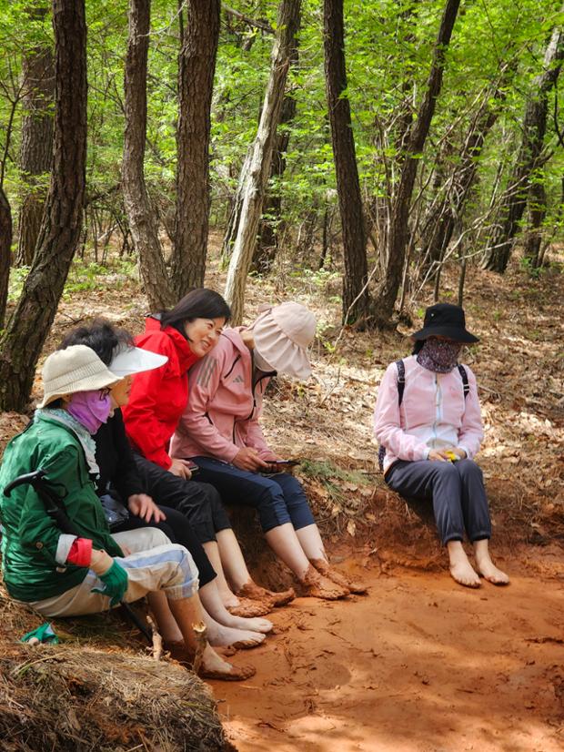 황방산 맨발 등산로