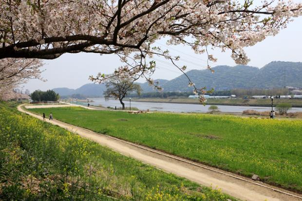 태화들 산책로