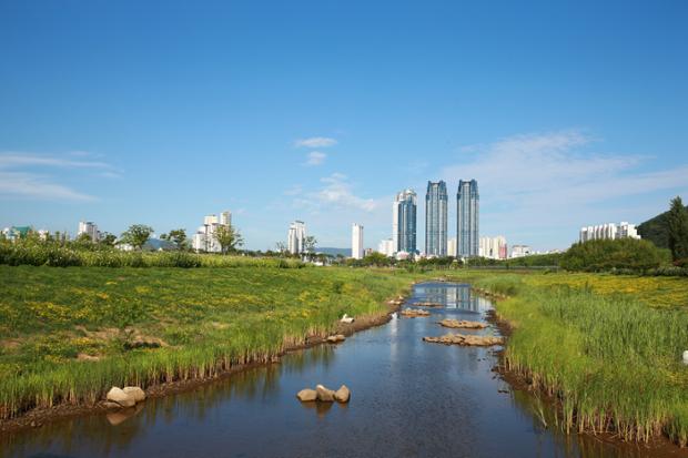 태화강대공원의 실개천과 태화루