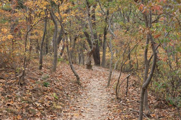 입화산 산악자전거길