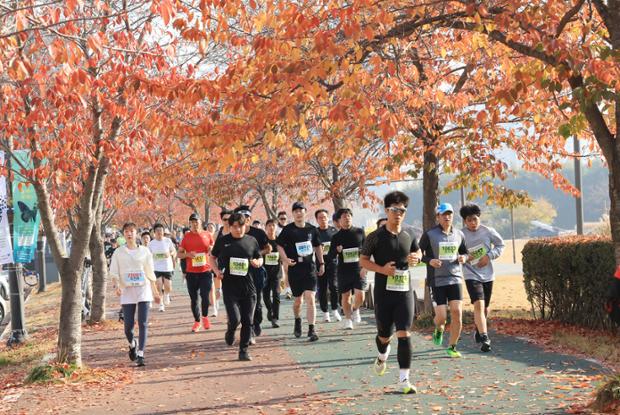 태화강국제마라톤대회