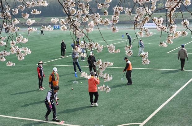 십리대밭축구장주변시가지