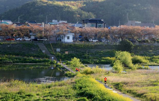 태화강 중류 척과천 주변의 봄