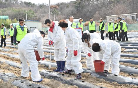 주）우리버스 이웃돕기 감자심기 행사 이미지